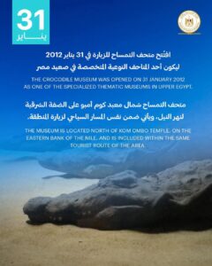 اليوم 31 يناير نُحيّي ذكرى مرور 14 عامًا على افتتاح متحف التمساح بكوم أمبو – أسوان
