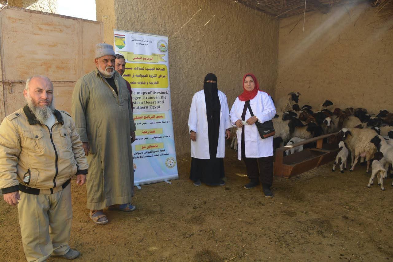 بحوث الصحراء ينظم ورشة عمل لتنمية الثروة الحيوانية ودعم المربين بواحة سيوة