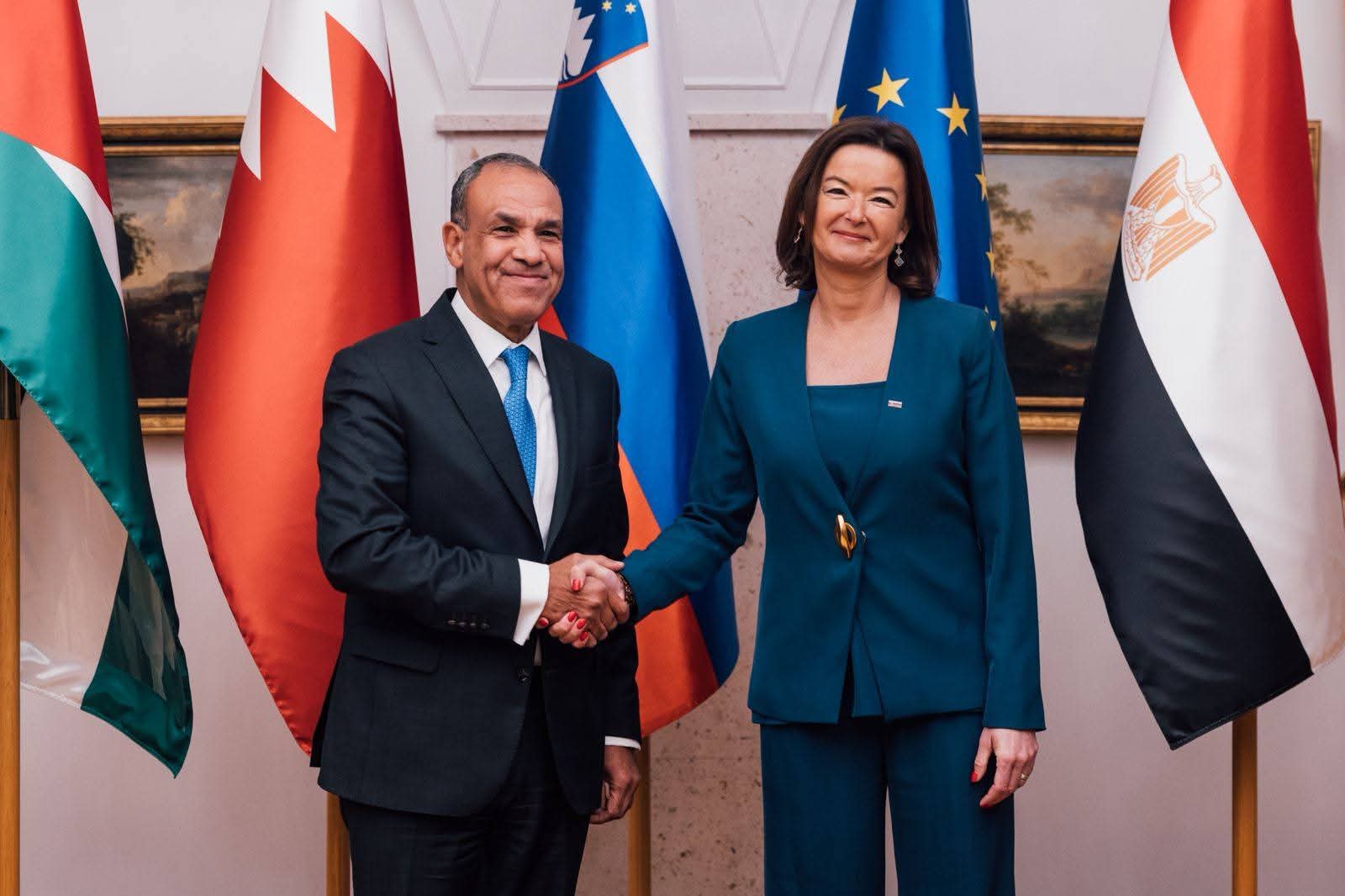 وزير الخارجية يشارك في اجتماع اللجنة الوزارية العربية الإسلامية بشأن غزة 