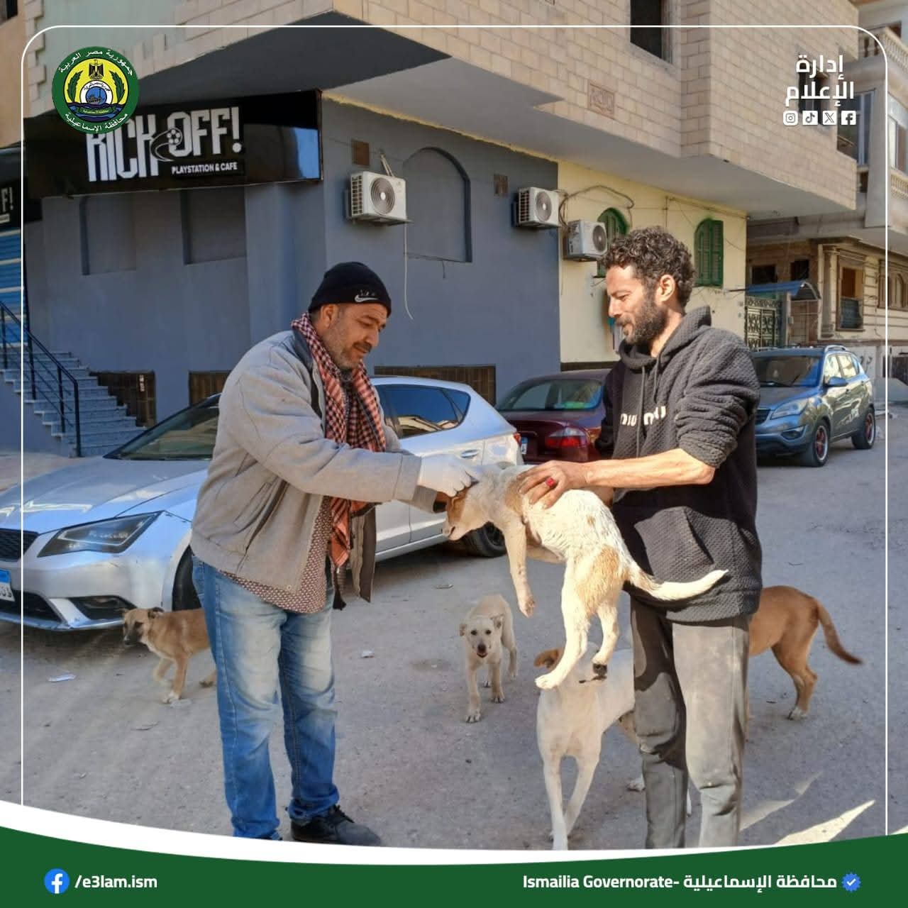 الطب البيطري بالإسماعيلية يتابع حملاته المكثفة لتحصين الكلاب الحرة ضد مرض السعار ضمن مبادرة "مصر خالية من السعار قبل ٢٠٣٠"