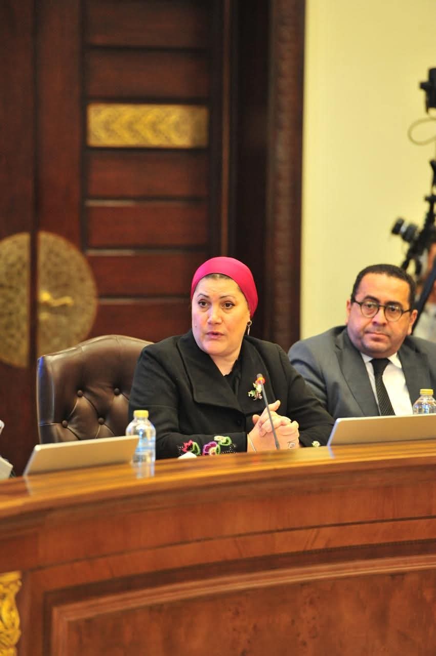 رئيسة المجلس القومي للطفولة والأمومة تشارك في مائدة مستديرة نظمها حزب حماة الوطن لتنظيم استخدام الأطفال لمواقع التواصل الاجتماعي