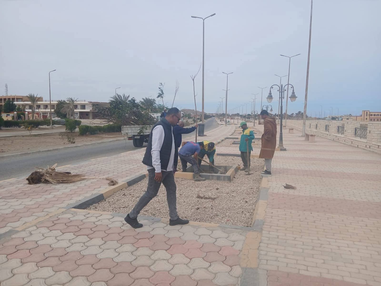 استمرار أعمال زراعة الأشجار بمدينة مرسى علم ضمن المبادرة الرئاسية  ١٠٠ مليون شجرة