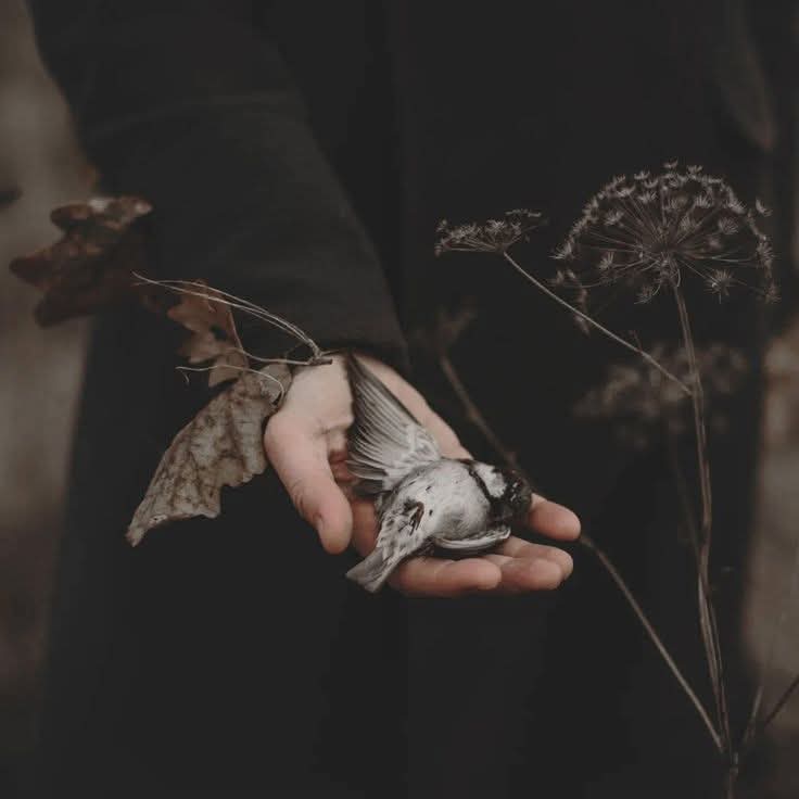 يراودني الشوق بقلم نور شاكر 