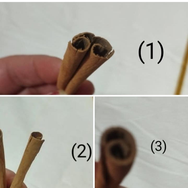 طاقة عود القرفه بقلم . شاميه كساب 