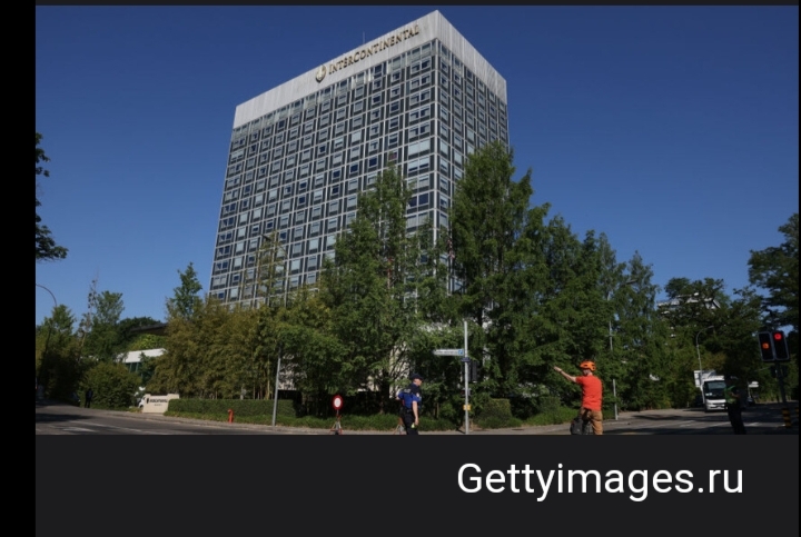 الأسد من أكثر رواده الكبار قصة فندق يجمع الفرقاء