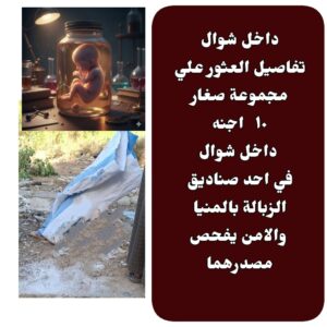 عاجل العثور علي مجموعة اطفال متوفين داخل صندوق قمامة بالمنيا والامن يطوق المكان