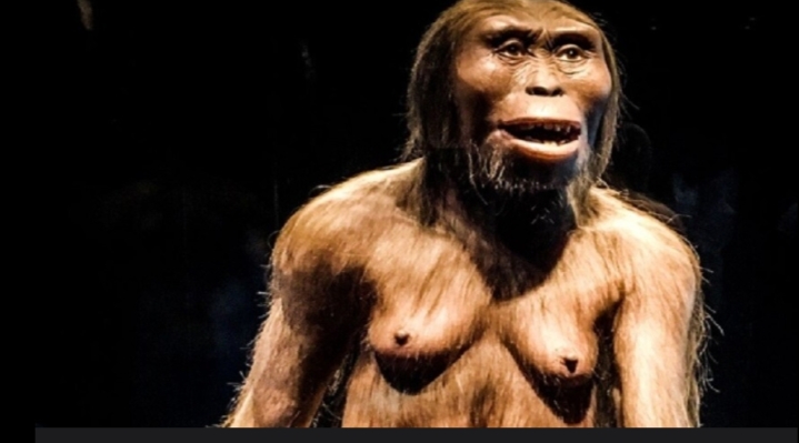 قنّاص لوسي".. اكتشاف تمساح عملاق عاش مع أسلاف البشر في إفريقيا