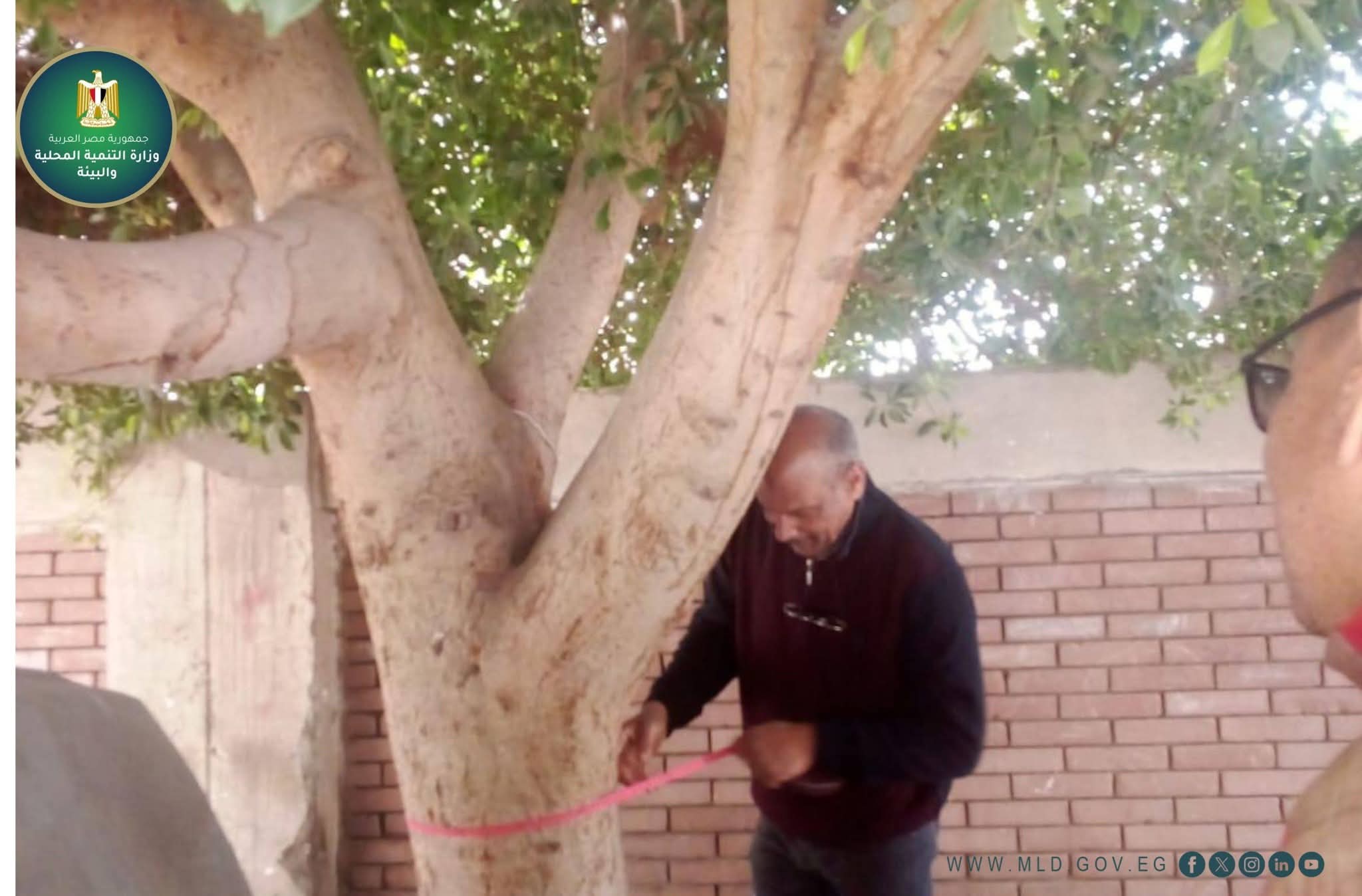 وزيرة التنمية المحلية والبيئة تتابع منظومة "تكويد الأشجار" ضمن المبادرة الرئاسية "100 مليون شجرة