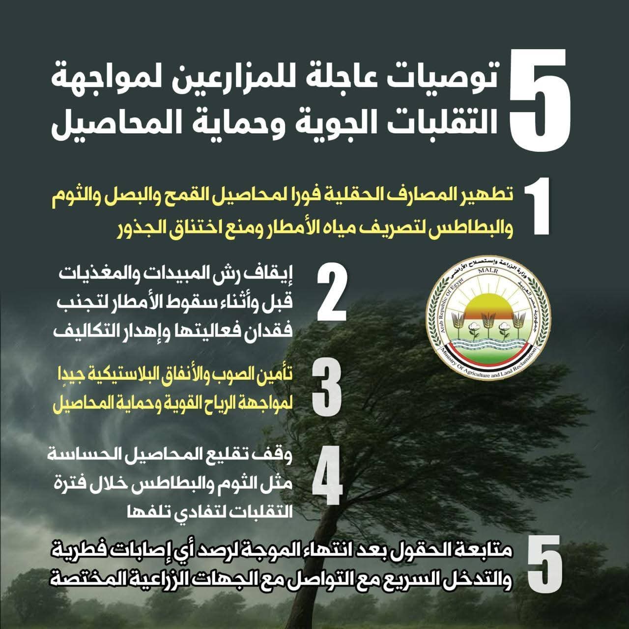 وزير الزراعة يوجه برفع درجة الاستعداد القصوى لمواجهة التقلبات الجوية الطارئة لحماية المحاصيل