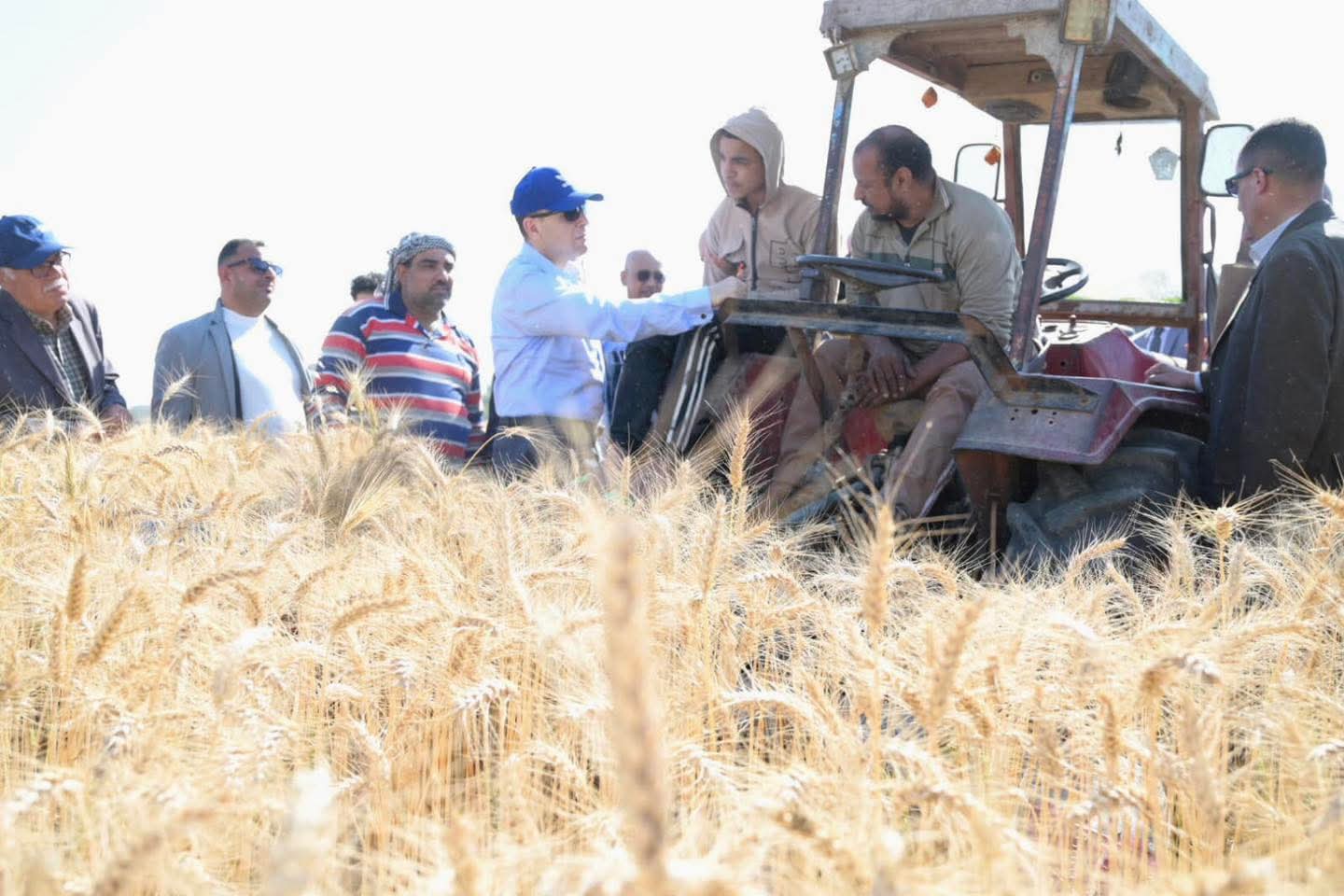 وسط فرحة المزارعين محافظ الغربية يطلق موسم حصاد القمح من مركز زفتى ويؤكد: «حصاد اليوم ثمرة عام من الجهد والعمل»