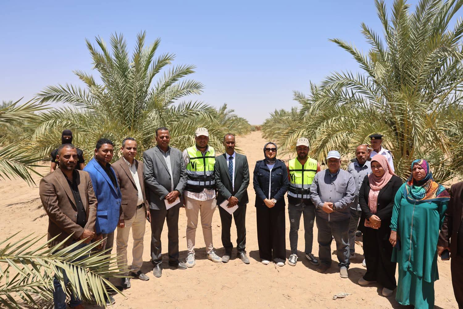 على مساحة ٨٠٠ فدان  محافظ الوادي الجديد تتفقد مشروع استثمار زراعي بقرى جورمشين بباريس 