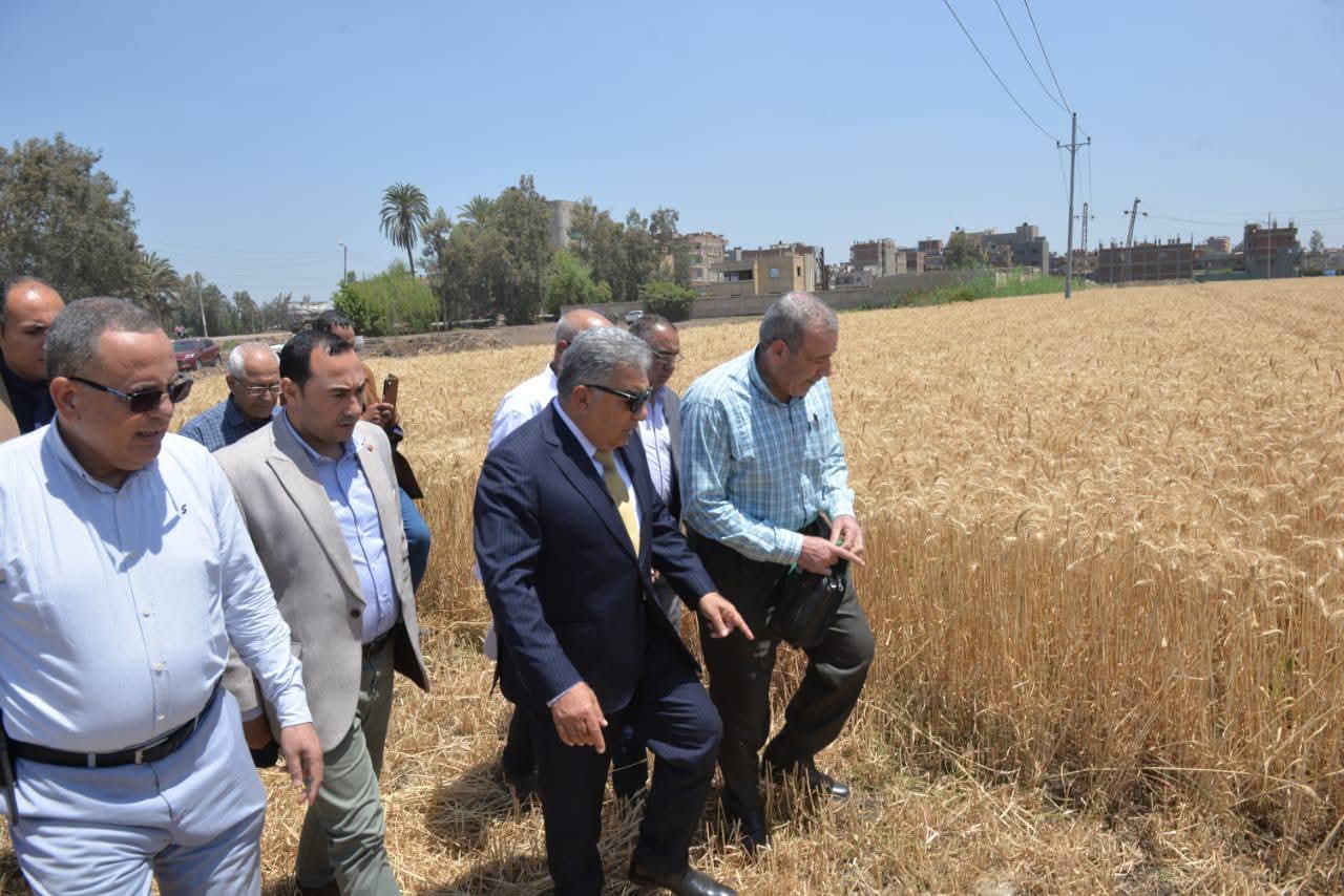 محافظ الدقهلية يطلق موسم حصاد القمح 2026 من قرية برج النور الحمص بأجا ويؤكد: دعم الفلاح أولوية والأمن الغذائي قضية قومية