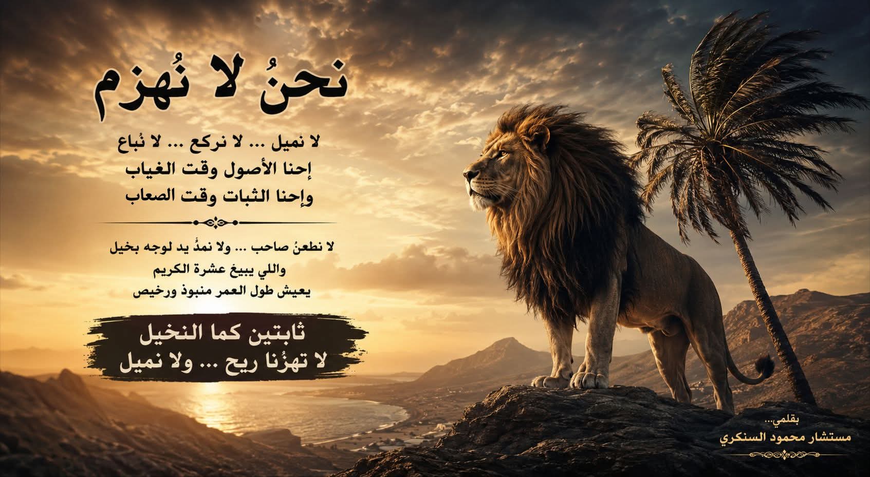 نحنُ لا نُهزم..بقلم مستشار محمود السنكري