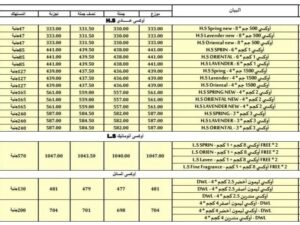 زيادة أسعار مسحوق أوكسي وباهي بدءا من 21 مايو 2026