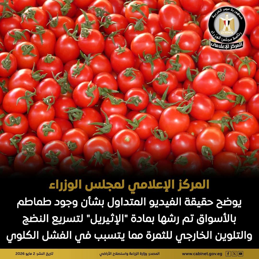 الفيديو قديم وقد تم نفيه مسبقاً... حقيقة الفيديو المتداول بشأن وجود طماطم بالأسواق تم رشها بمادة "الإثيريل" لتسريع النضج والتلوين الخارجي للثمرة مما يتسبب في الفشل الكلوي