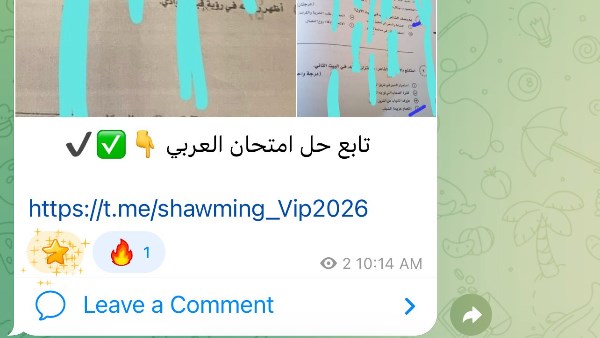 شاومينج يزعم نشر إجابات امتحان اللغة العربية للثانوية العامة 2026.. والتعليم تحقق في الصور المتداولة