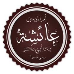 السيدة عائشة إحدى أمهات المؤمنين في ذكري وفاتها