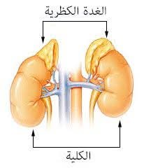 الفيـوكروموسيتوما
