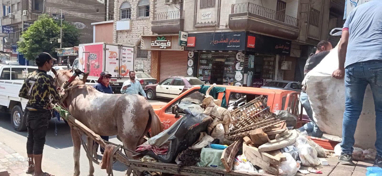 محافظ الدقهلية يتابع حملة حي غرب المنصورة للتصدي لظاهرة "النباشين"