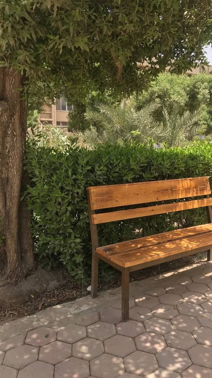 موت الجميل بقلم نور شاكر